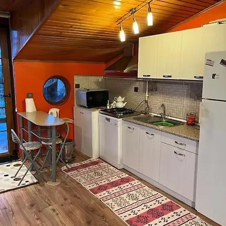 Unique Rooftop Apartment Derince